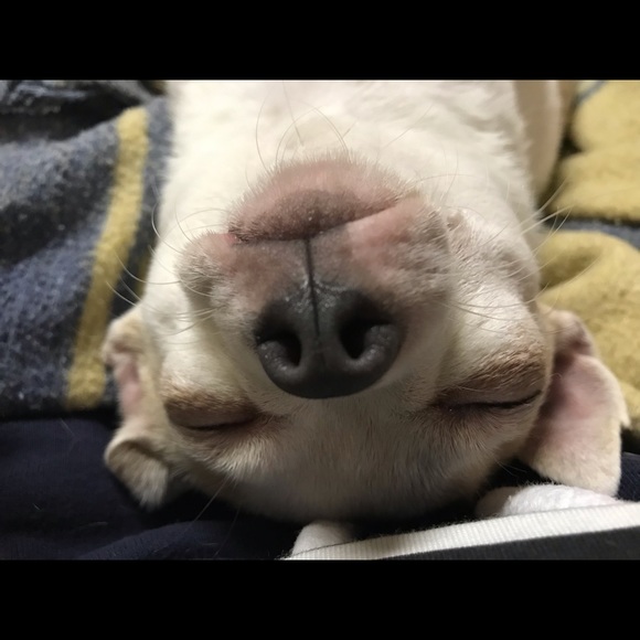 Meet your Posher, K - Picture 1 of 1